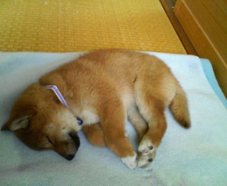 ���`���N����