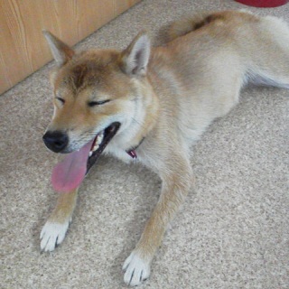 �V�т�����