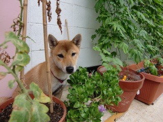 ���C�ɓ���̏ꏊ