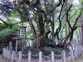 �َ����̂悤��