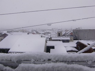 ���[�[�[�����I