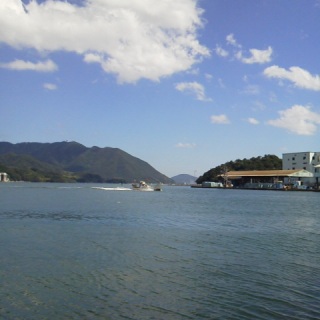 �`�ɗ�����