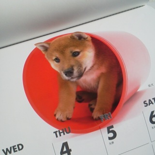 �J�����_�[