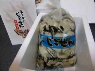 �����y(�O���O)