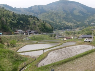 �c�A���n�܂�