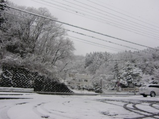 �₦��Ǝv������