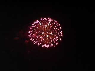 ���N�Ō�̉ԉ�