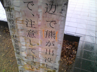 ����������ǂ�����΂�����