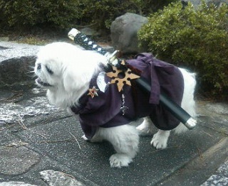 �R�X�v����