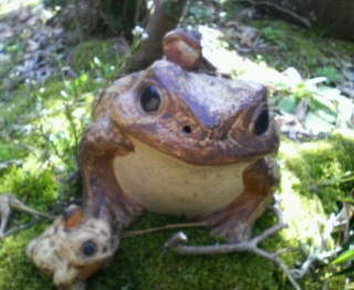 �J�^�ӊO�͋�肾���ǂ�