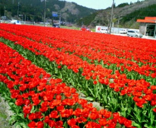 �`���[���b�v