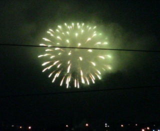 ���V�{�Ղ̉ԉ�