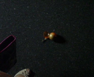 �Ȃ�����ȂƂ���ɁH